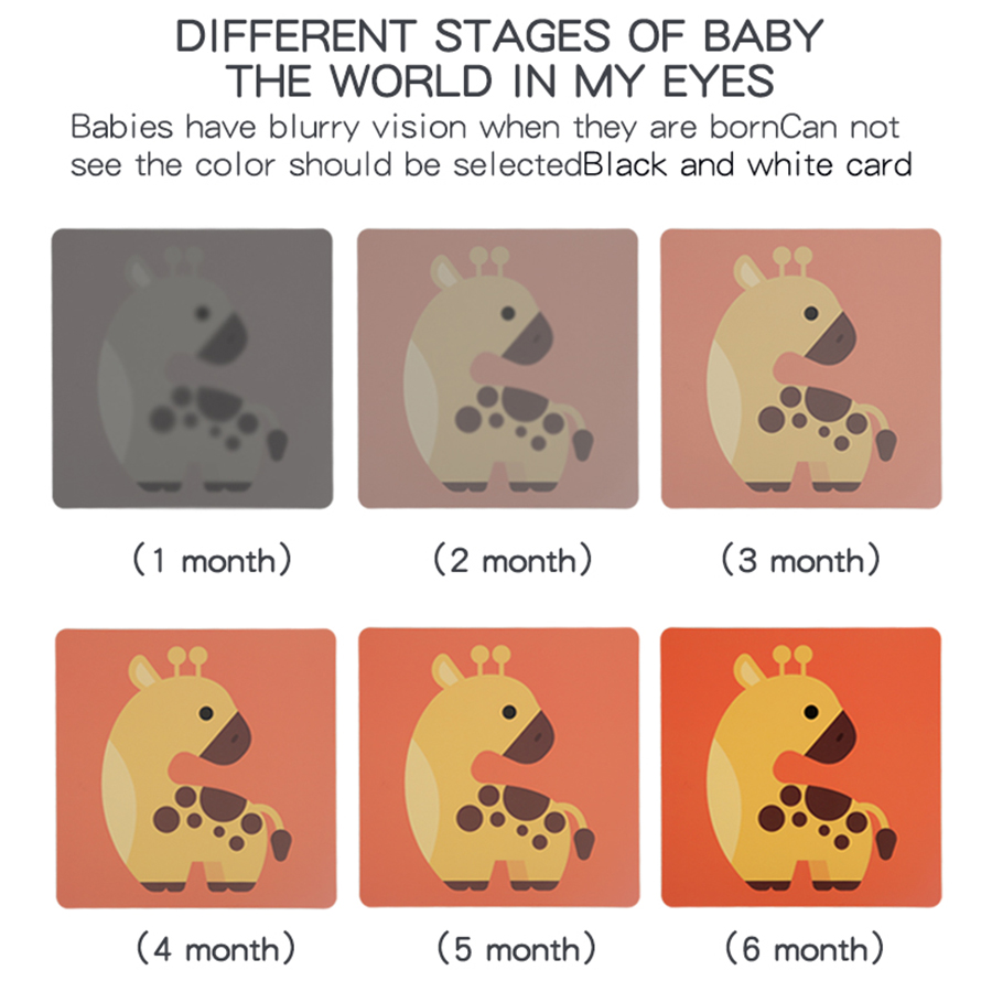 Baby Visual Stimulation Cards  - Baby Food Eat review and price