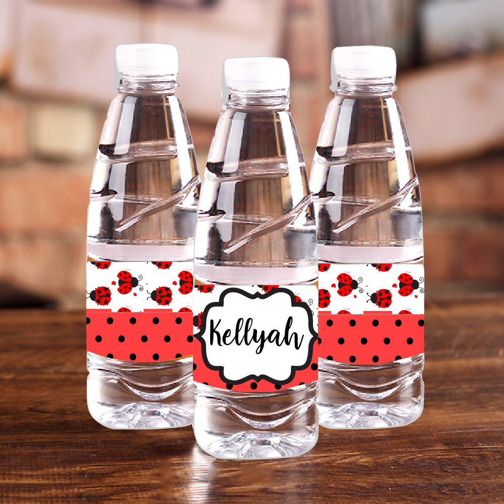 Personalised Ladybug Red Polka - Baby Food Recipes review and price