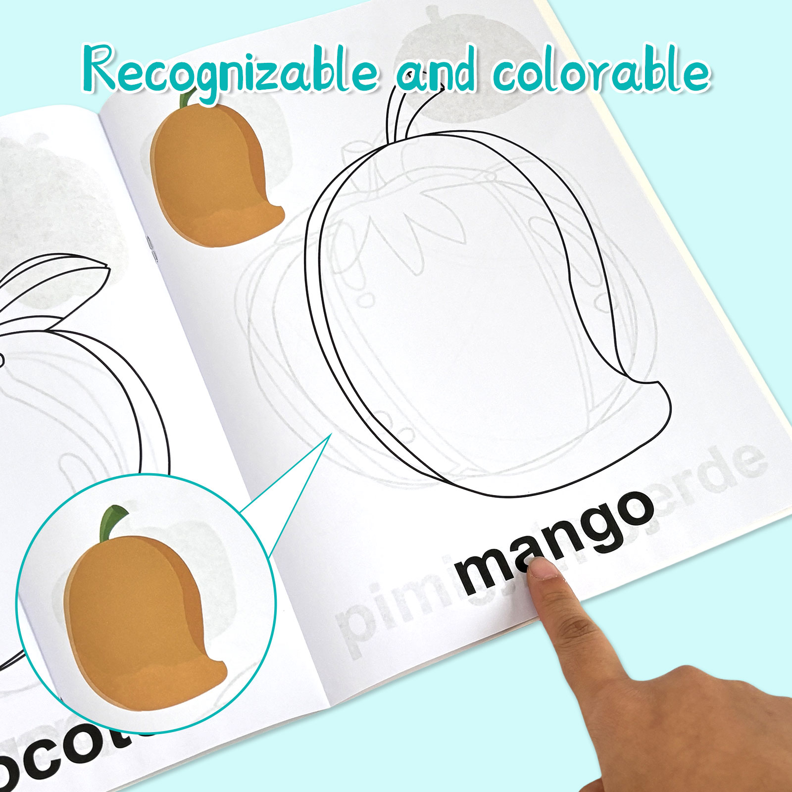 4 Pack Spanish Vocabulary Colo - Baby Food Age review and price
