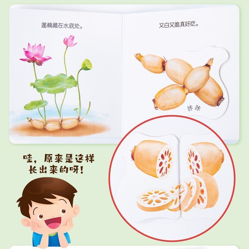 Infant Food Education Flipbook - Baby Food Age review and price